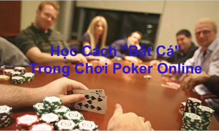 bắt cá trong chơi poker