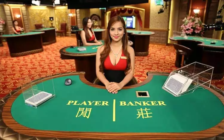 cá cược Baccarat
