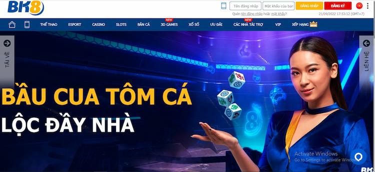 Cá cược casino