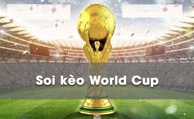 Các kèo ngon World Cup 2022 là gì?