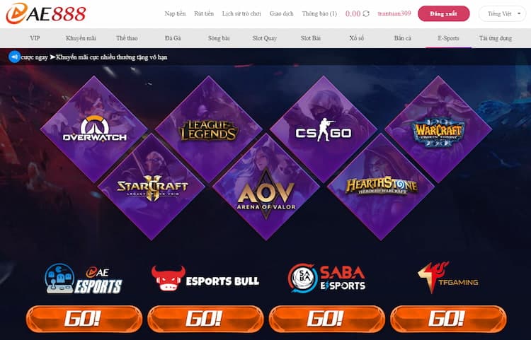 Cá cược Esport tại nhà cái AE888