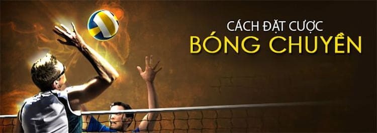 Cách cược bóng chuyền