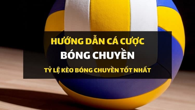 Hướng dẫn cá cược bóng chuyền