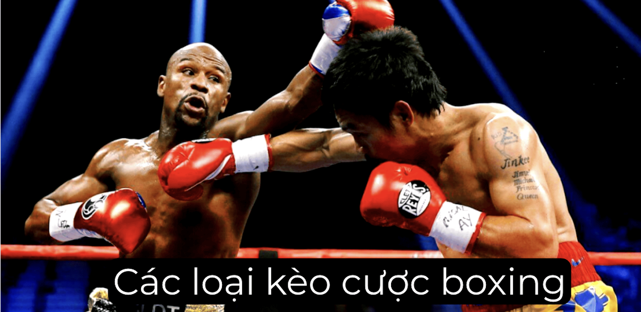 Tổng hợp các kèo cược boxing tại nhà cái uy tín