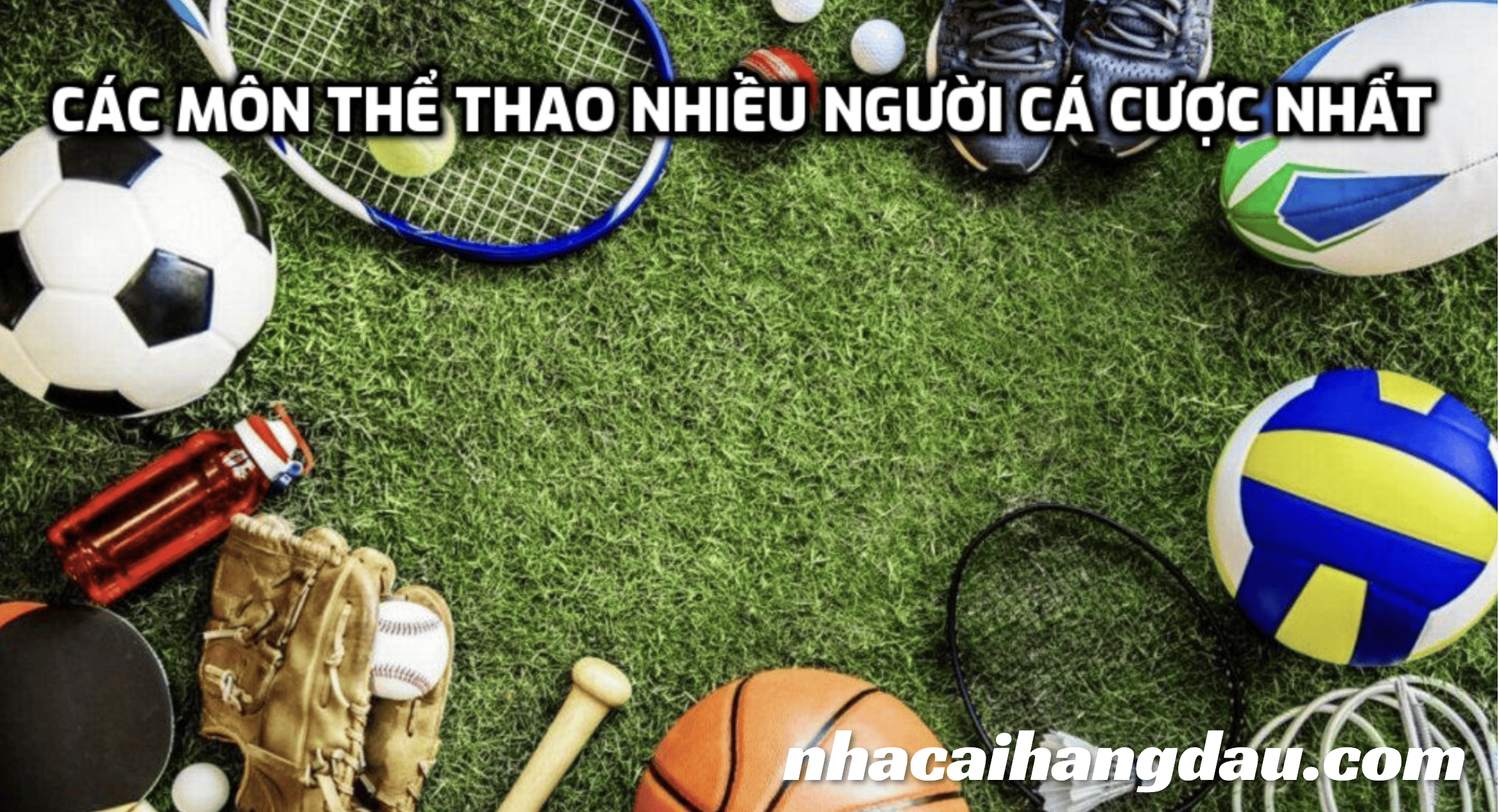 Các Môn Thể Thao Nhiều Người Cá Cược Nhất